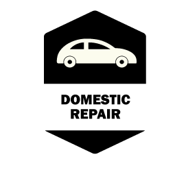 Domestic Repair